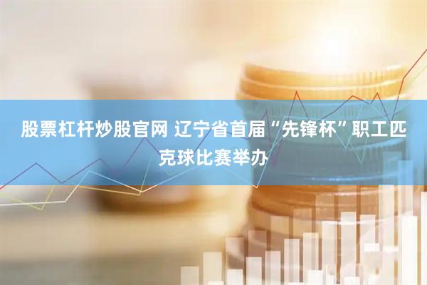 股票杠杆炒股官网 辽宁省首届“先锋杯”职工匹克球比赛举办