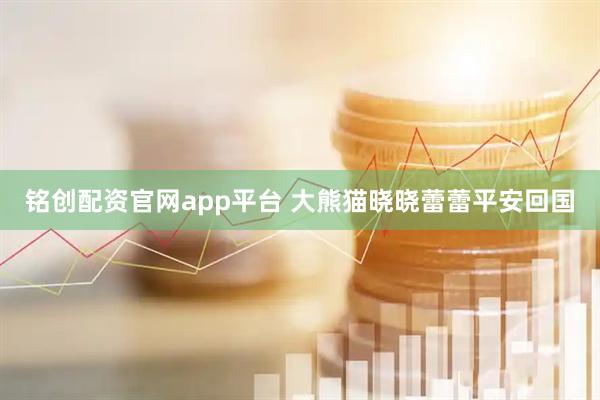 铭创配资官网app平台 大熊猫晓晓蕾蕾平安回国