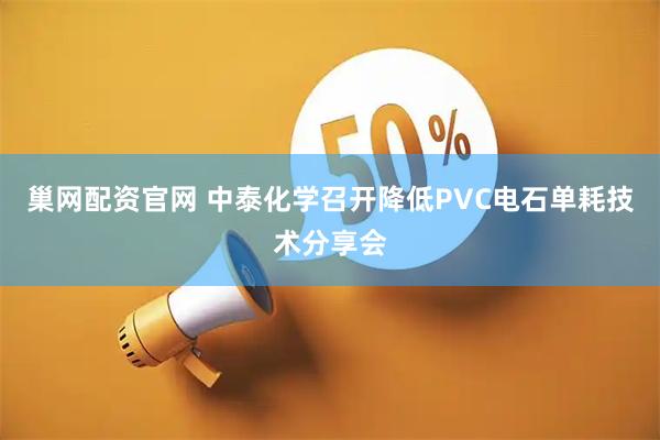巢网配资官网 中泰化学召开降低PVC电石单耗技术分享会