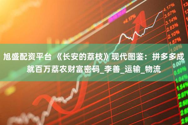 旭盛配资平台 《长安的荔枝》现代图鉴：拼多多成就百万荔农财富密码_李善_运输_物流