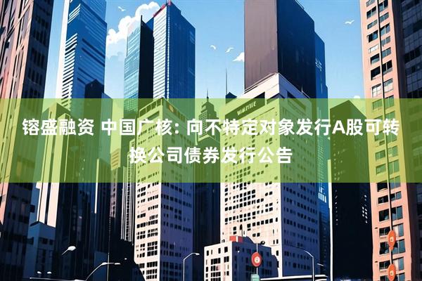镕盛融资 中国广核: 向不特定对象发行A股可转换公司债券发行公告